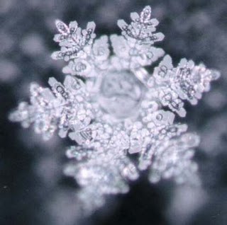 Alkaline Water Crystal