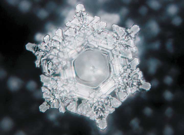 Joy Water Crystal